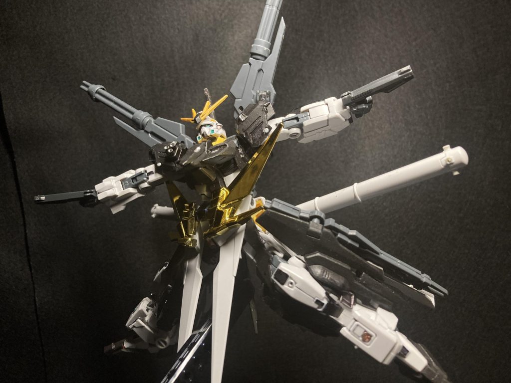 飛翔する新星って感じですね！（こじつけ）