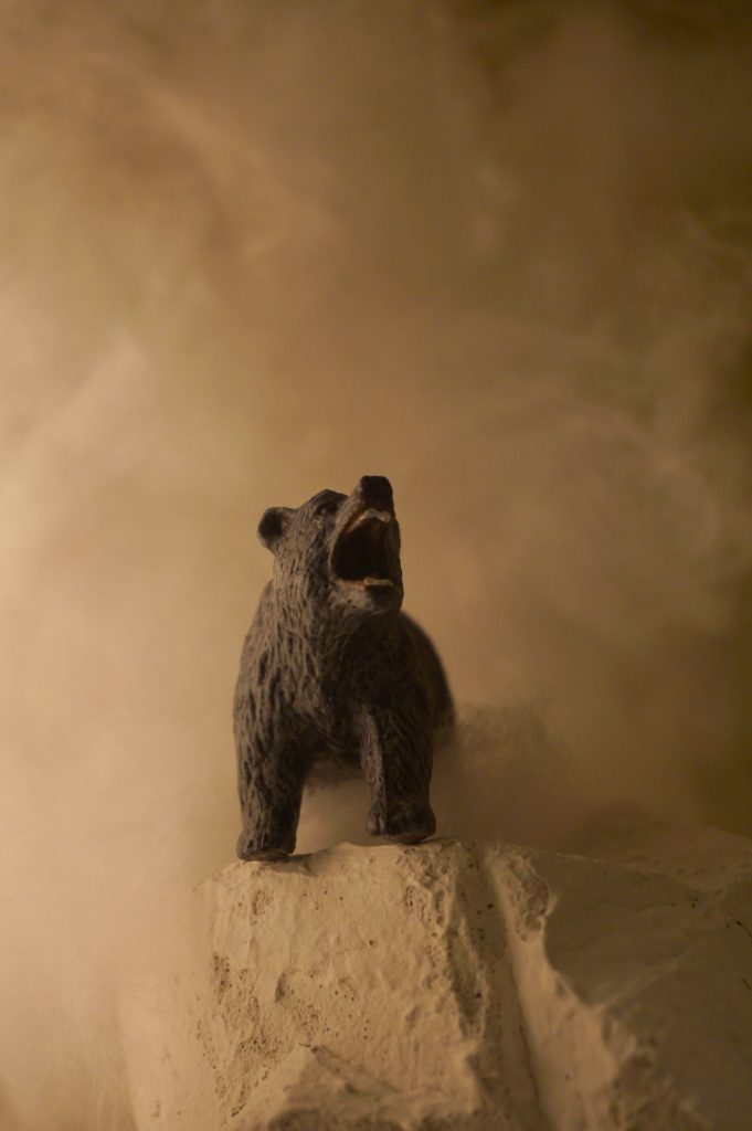 100均で見つけたクマに色を塗って、表情がすばらしい^^