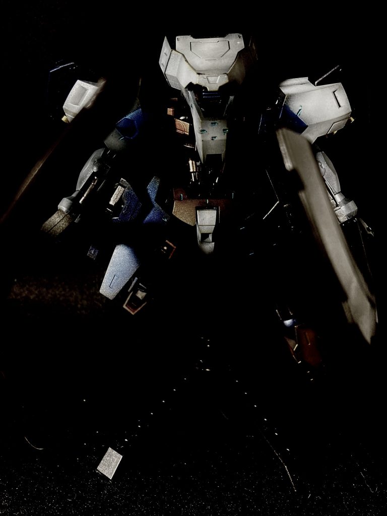 写真も奥が深いというか‥中々上手くとれない