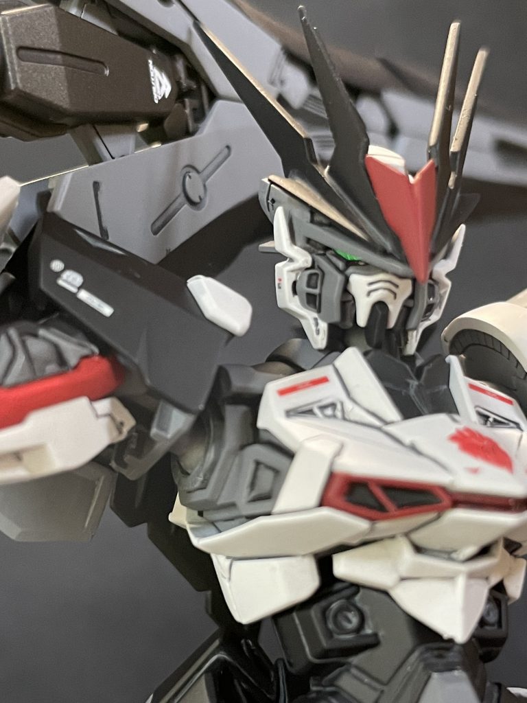 HG 1/144 ロードアストレイΩ