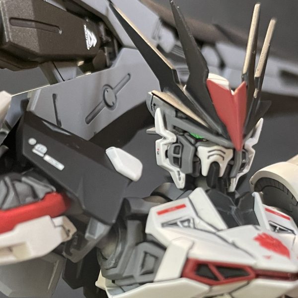 HG 1/144 ロードアストレイΩ｜augoeides06060さんのガンプラ作品｜GUNSTA（ガンスタ）