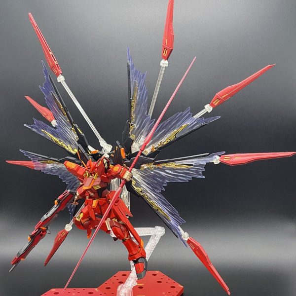 RG ストライクフリーダム ガンダム ver.CHAR