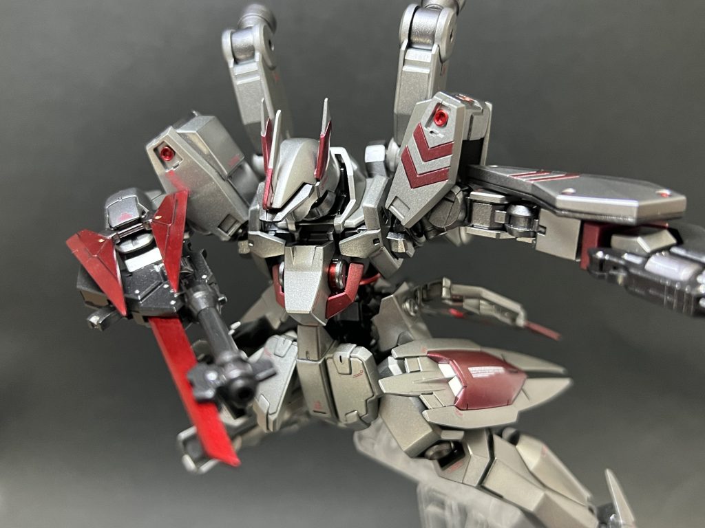 HG シュヴァルベカスタム(シクラーゼ機)