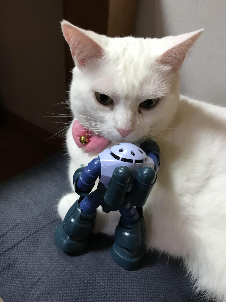 猫と戯れるズゴッグさん2ジムのようにはいきません。