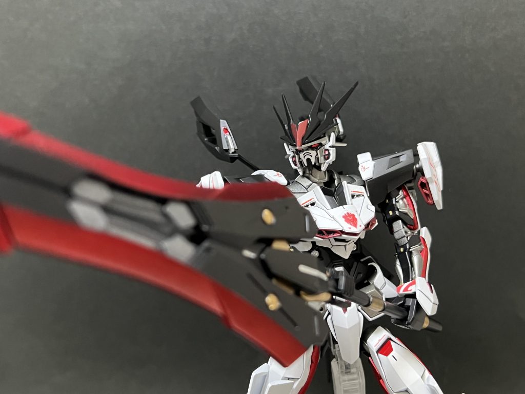 HG ロードアストレイΩ–4枚目/制作者:tumiki