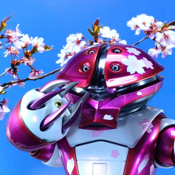 MSM-04 AGGUY ~CherryBlossom~