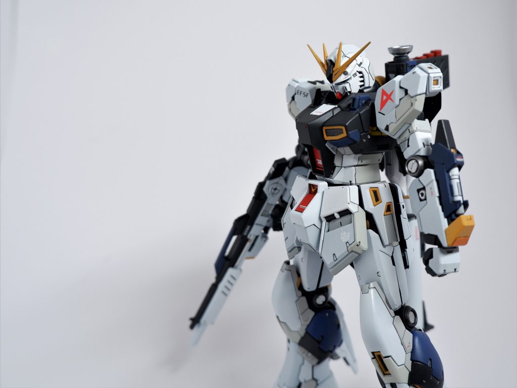 左腕を見てほしかった写真