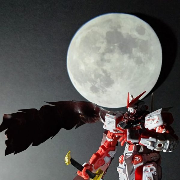 レッドフレームシノビ