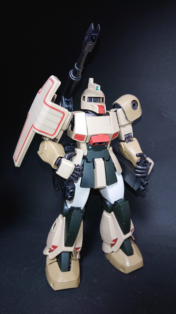 仮組み状態です（フレームは塗装済み）。こうして見比べるとかなり見違えたので満足です。