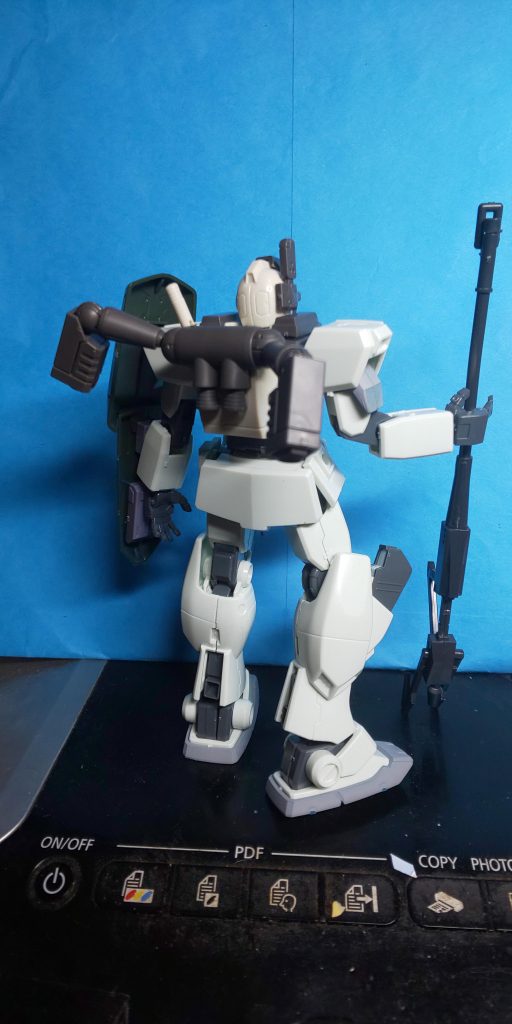 ウミヘビはありません（残念