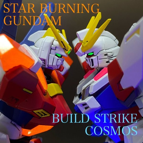 スターバーニングVSビルドストライクコスモス