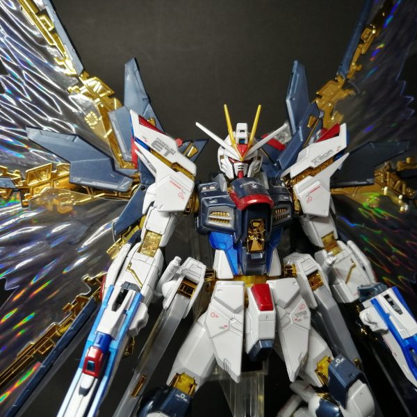 RGストライクフリーダムガンダム【チタニウムフィニッシュ】＋〝天空の