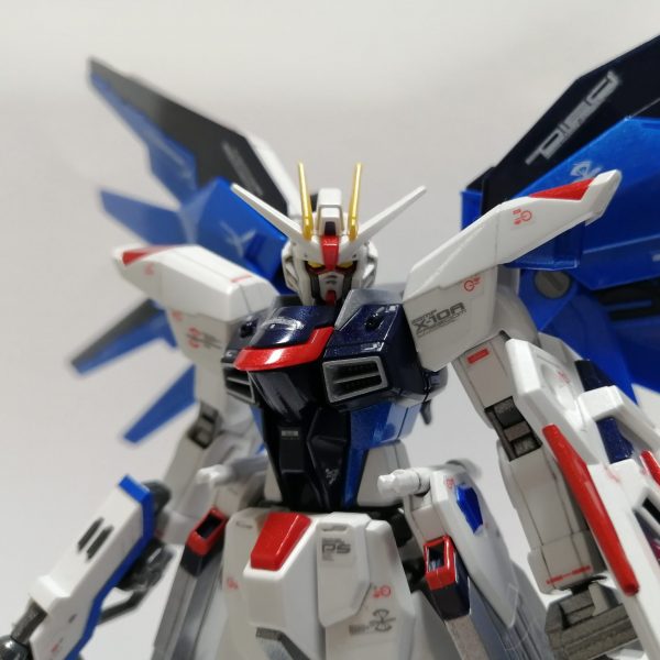 HGフリーダムガンダム[メタリックカラー]