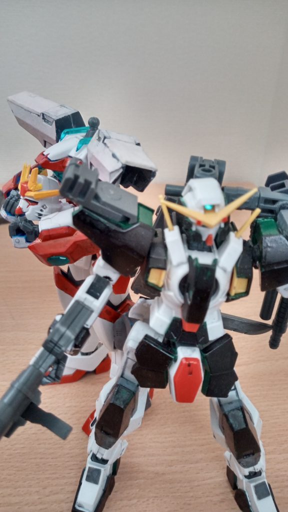 次回!デュナメス、塗膜弱スギィ!ア「それでは次回もぉ~ガンプラファイトレディーゴー!!!!!!」マ「タ,タスケテ・・・」