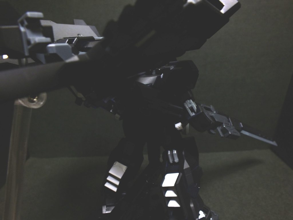 背面 フルドドが光を遮ってしまうのであまり背面が見えませんね(汗