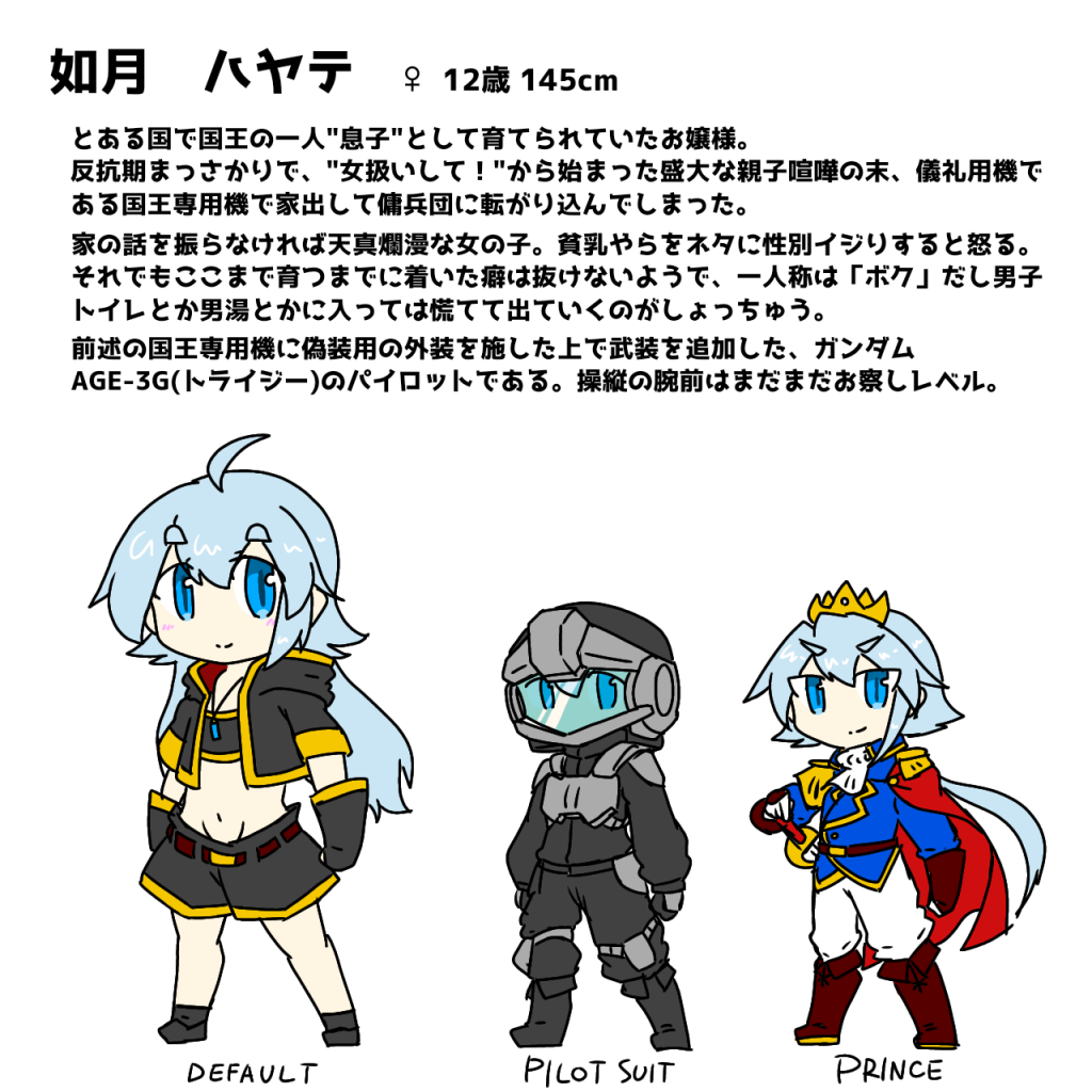 パイロットのハヤテちゃん。ガンプラでもなんでもないけどアイコンの娘献身的に今回の機体の持ち主なので併記。完全にガンプラ関係ない画像だから流石に怒られるかな？