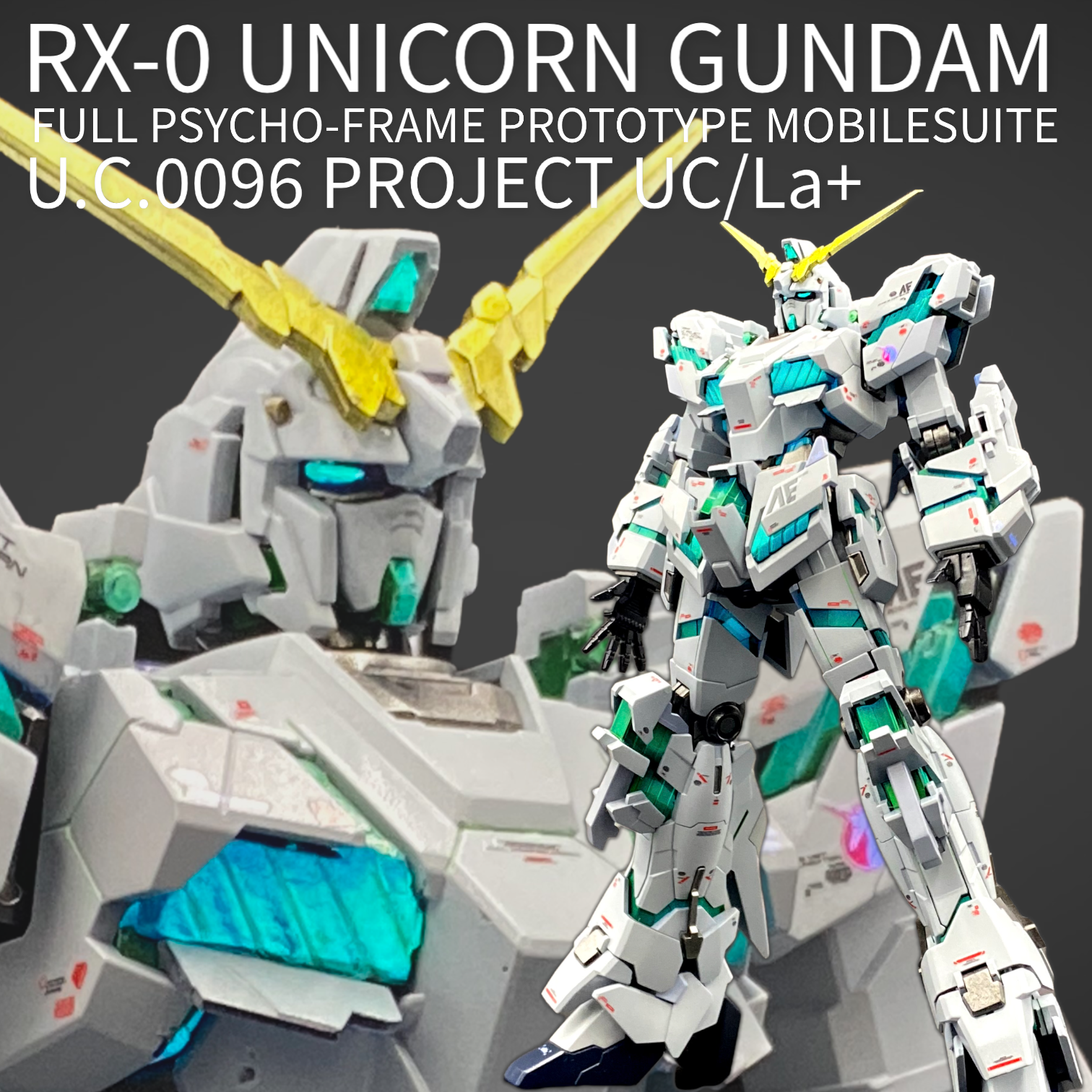 HG RX-0ユニコーンガンダムデストロイモード HG MSN-06Sシナンジュ