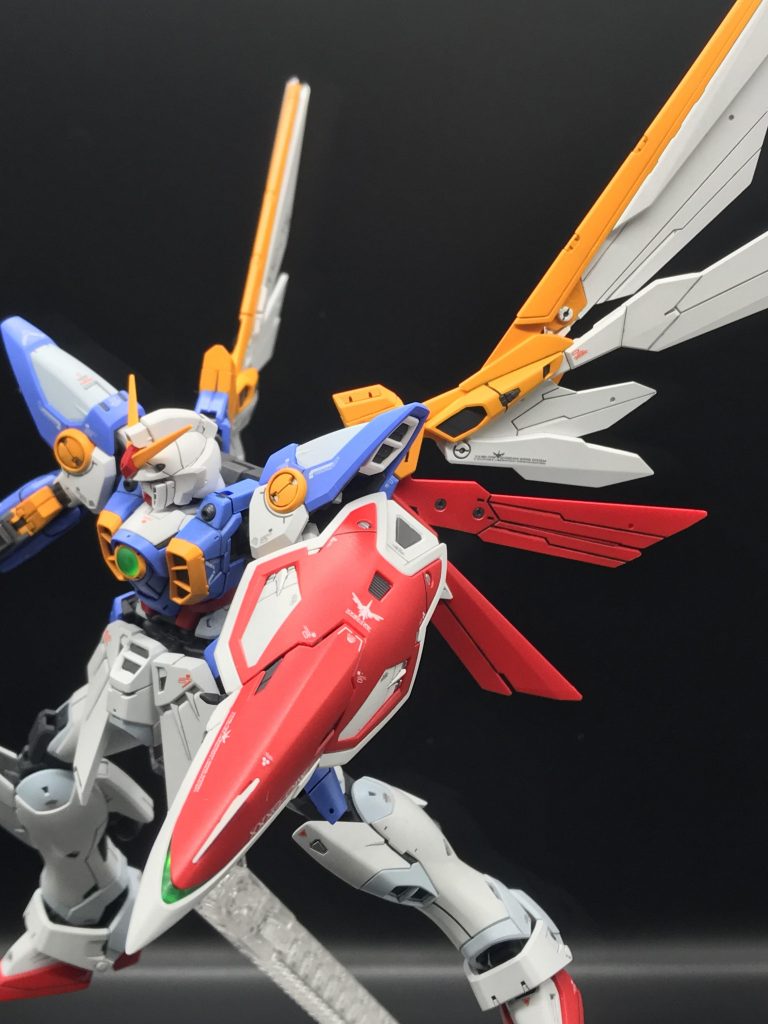 羽ばたけそう❗️