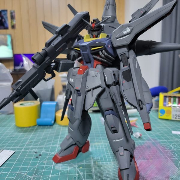 無印1/100プロヴィデンスガンダム