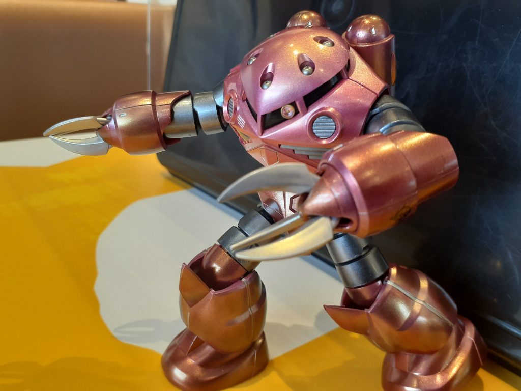 ジム居ないけど…例のポーズ…