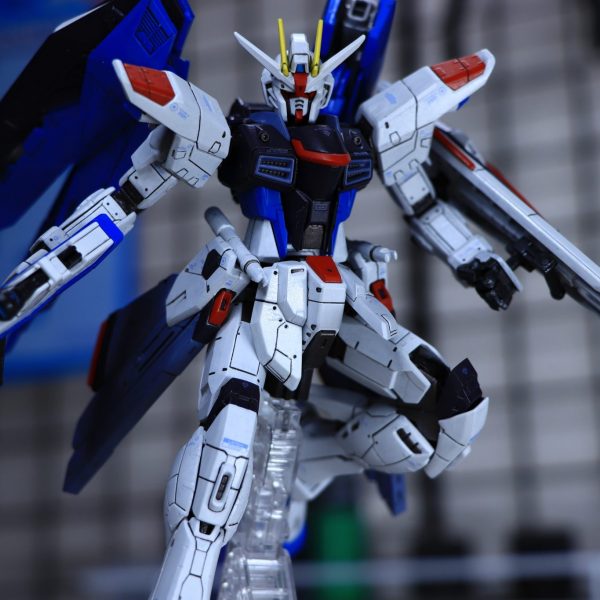 RG フリーダムガンダム