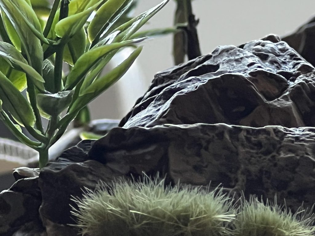 岩です。石膏にシタデルカラーを塗って作りました。