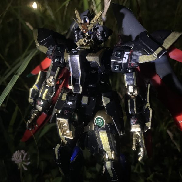 迦楼羅(野外撮影バージョン)