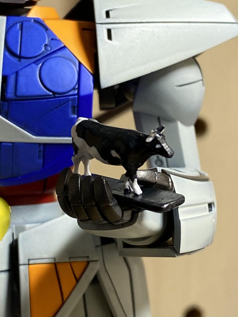 今日のスキヤキの肉は牛肉🥩