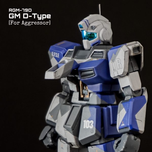 ジムD型　アグレッサー仕様