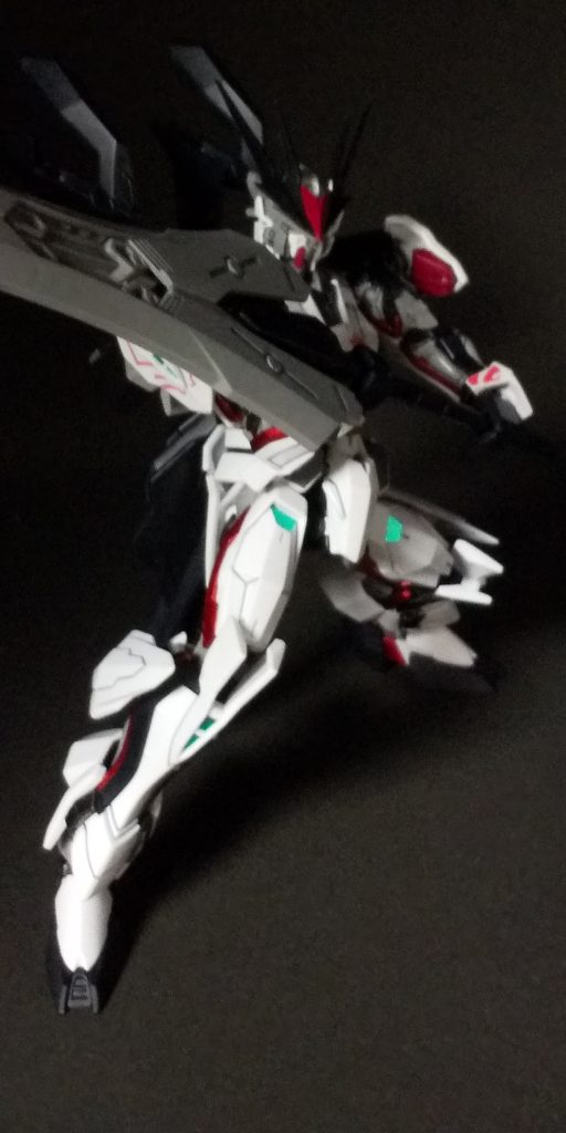 サンライズポーズちょっとピンぼけしてますわ～