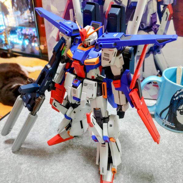 FUKガンダムさん専用　枝垂れコハウチワ楓　関の華厳　山畑　① HGCE ZGMF/A-X42S2 デスティニーガンダムSpecⅡ｜@samepura_04