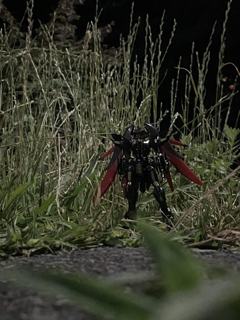 迦楼羅(野外撮影バージョン)–4枚目/制作者：ASEM