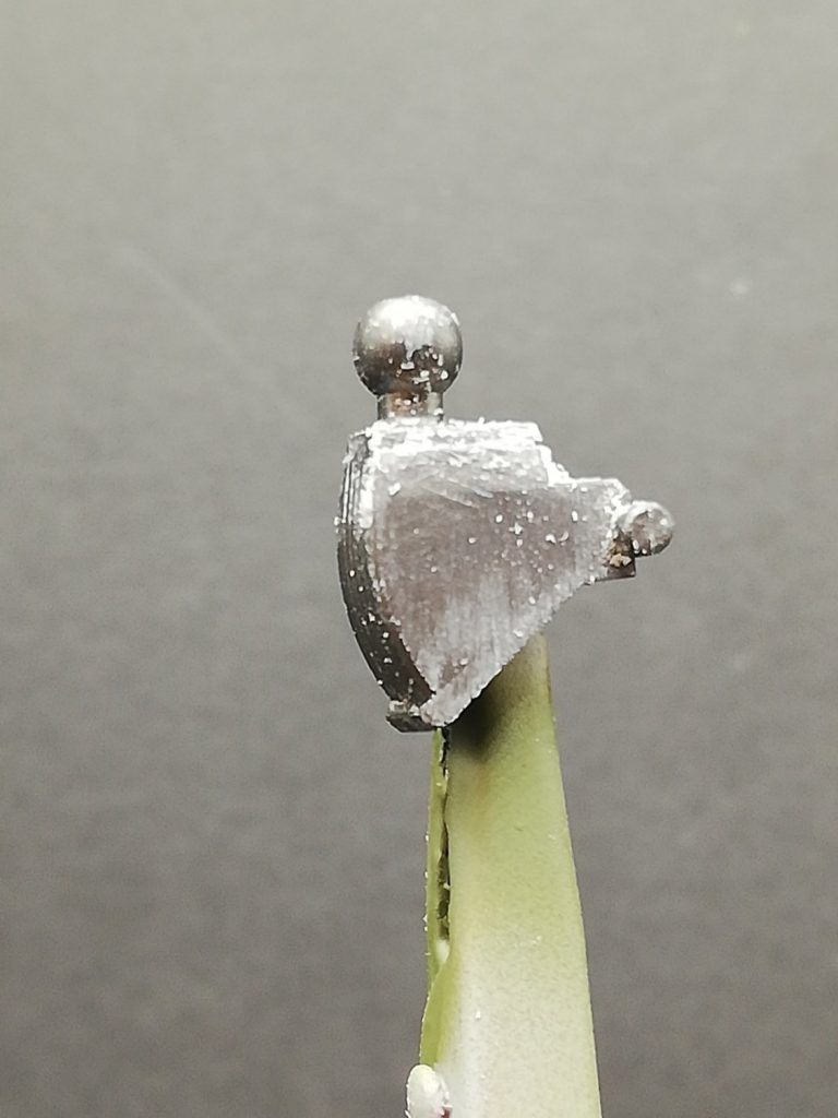 首の位置を前進