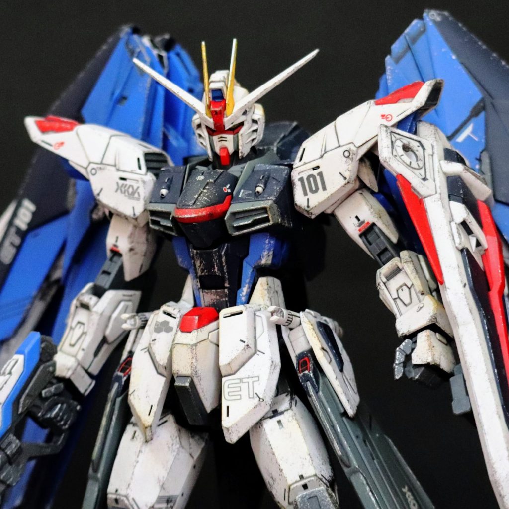 万代MGガンダム フリーダム桜塗装済み(海外限定) 2025年最新】Yahoo!オークション -フリーダムガンダム海外の中古