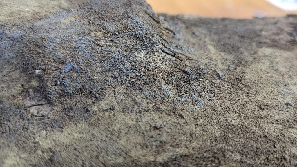 テクスチャーペイントを初めて使いましたが細かな凹凸を簡単につけることができるので便利ですね。画像の灰色の部分はエナメルのグレーでドライブラシ、右下の少し明るめの部分はウェザリングペーストを塗ってます。