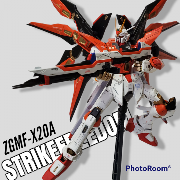 ハイネ専用ストライクフリーダム完成