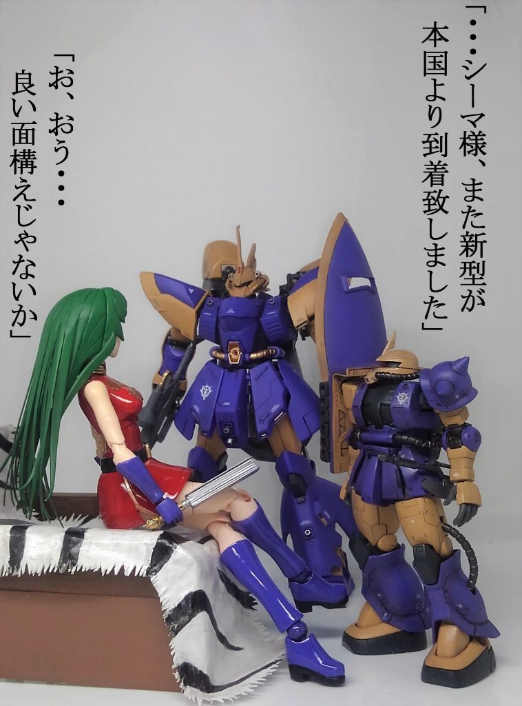 シーマ艦隊 ＆ 偽ゲルググ2号機–2枚目/制作者：TOMSIM