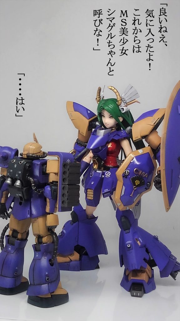 シーマ艦隊 ＆ 偽ゲルググ2号機–6枚目/制作者：TOMSIM