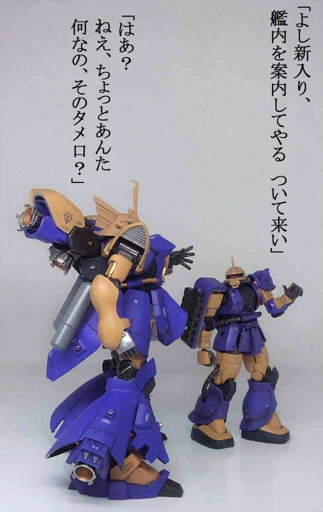 シーマ艦隊 ＆ 偽ゲルググ2号機–7枚目/制作者：TOMSIM