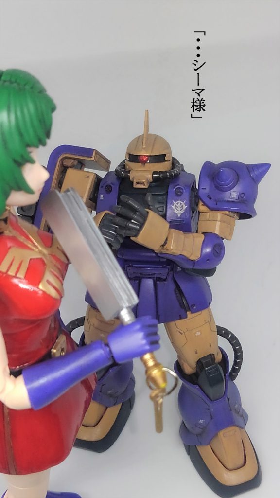 シーマ艦隊 ＆ 偽ゲルググ2号機–6枚目/制作者：TOMSIM