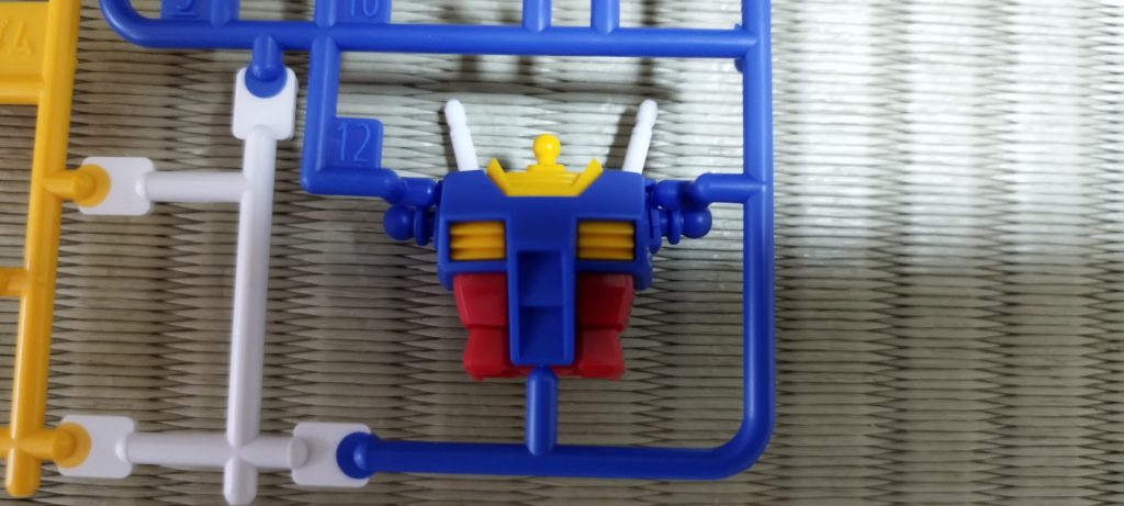 胴体です。はい、少しムズかったかな～