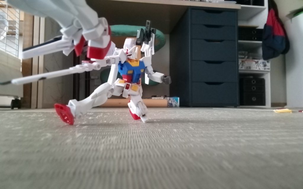 ホイナ！ホイナ！って何？