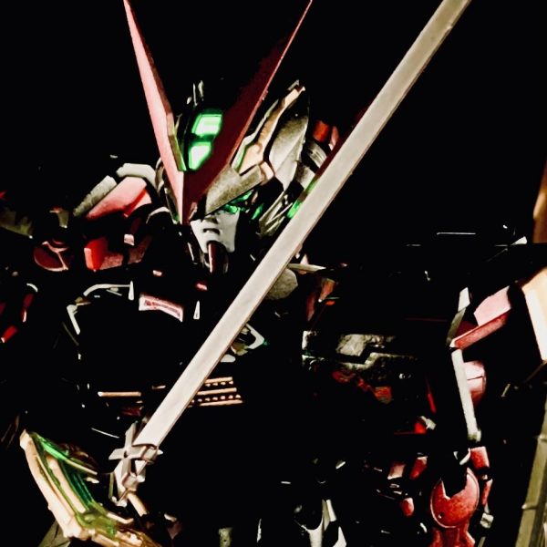 RG 1/144 MBF-P02 ガンダムアストレイレッドフレーム