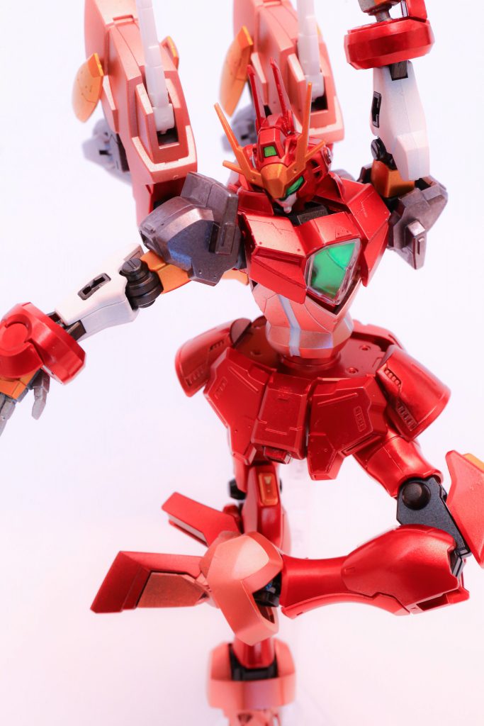 良いキットたちでした