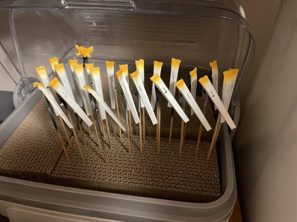 フィンファンネル×12の塗装普通に疲れました笑基部の黄色箇所が気になり、全てマスキングして、エアブラシで塗装。いつもは大量のマスキングは面倒なので、こんなことはやらないのですが、HWSのために頑張りました！！