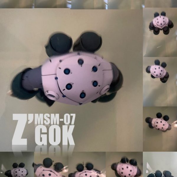 MSM-07 MG Z’GOK No1