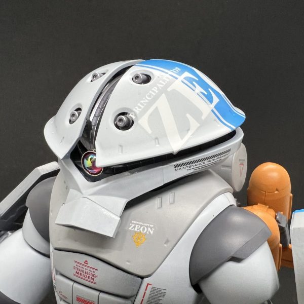 シン・マツナガ専用アッガイ カスタム