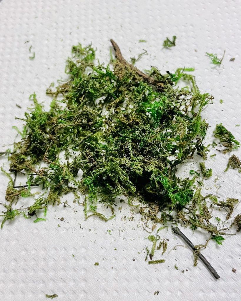 草は100均で売ってるイミテーションの草をそのままだと1/144だとオーバーサイズすぎるので細かく刻んで…