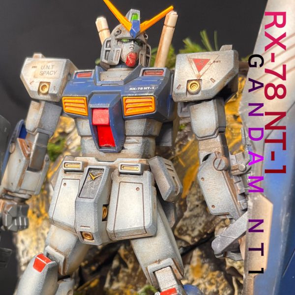 HG  GANDAM NT1