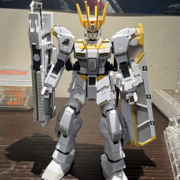 HGホワイトライダー